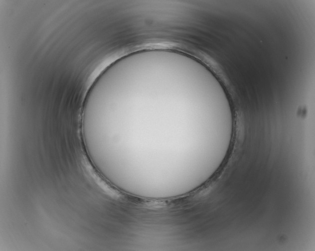 X0000111581186200907161148