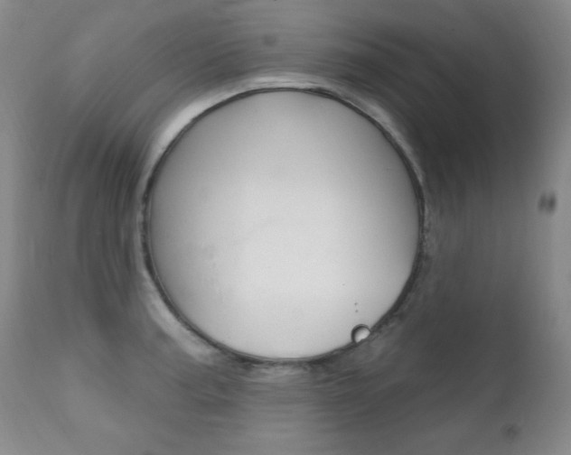 X0000111581187200907161148