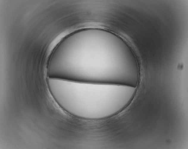 X0000111581188200907161148