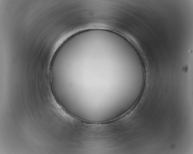 X0000111581192200907161148