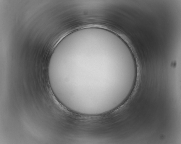 X0000111581193200907161148