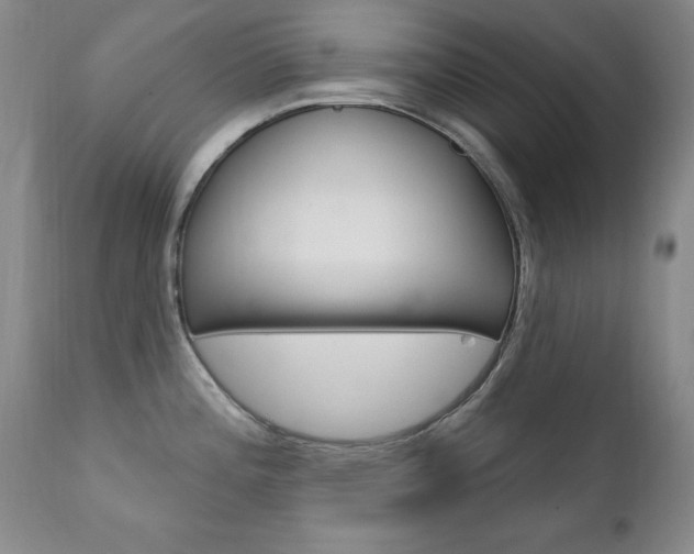 X0000111581196200907161148