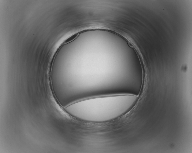 X0000111581197200907161148