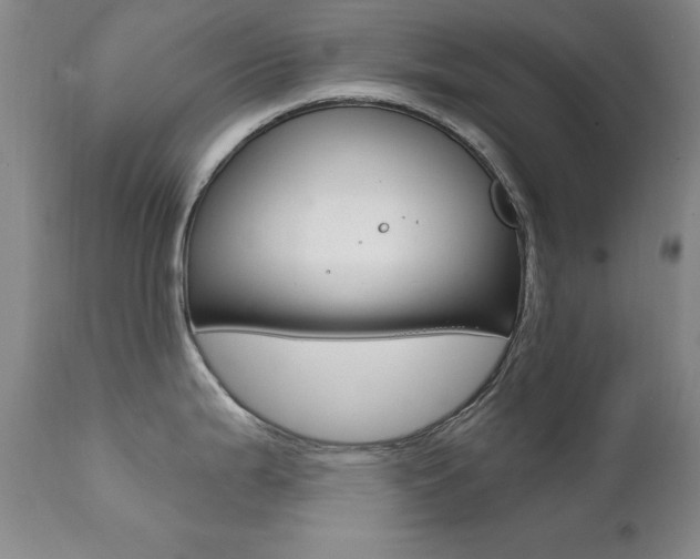 X0000111581199200907161148