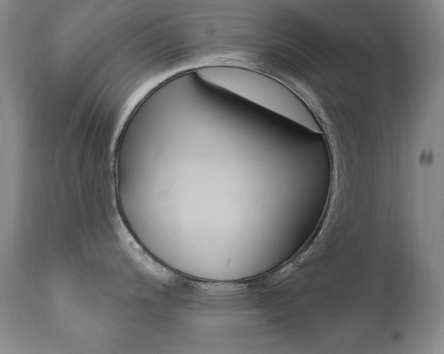 X0000111581200200907161148