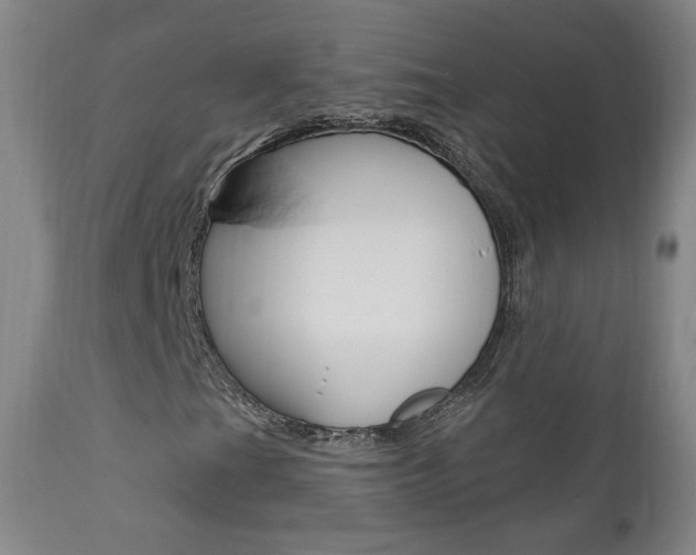 X0000111581201200907161147