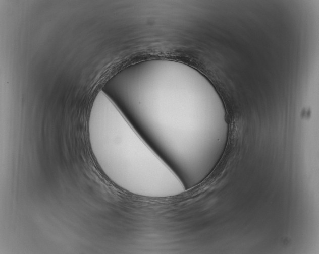 X0000111581202200907161147
