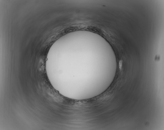 X0000111581203200907161147