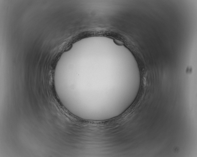 X0000111581204200907161147