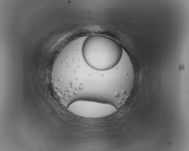 X0000111581205200907161147