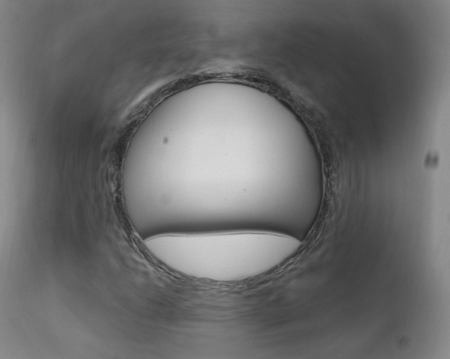 X0000111581206200907161147