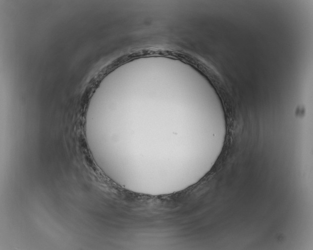 X0000111581207200907161147