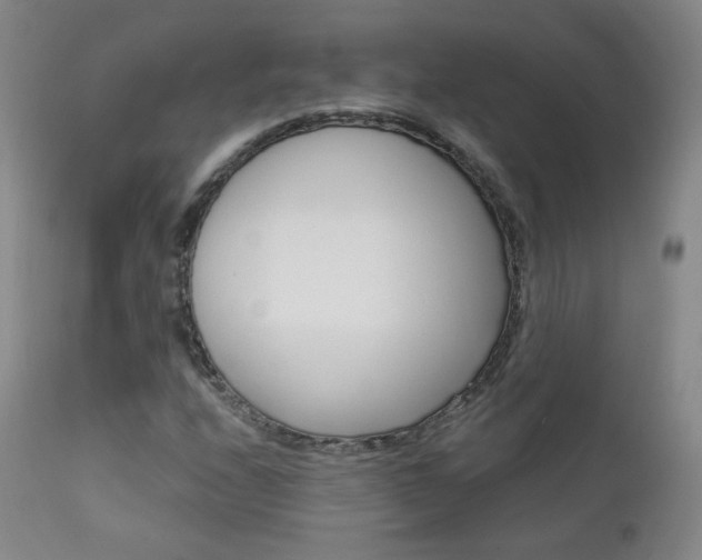 X0000111581208200907161147