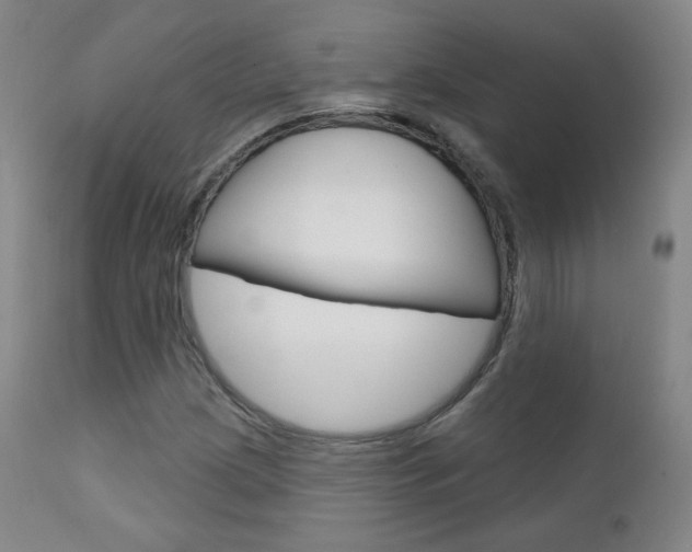 X0000111581209200907161147
