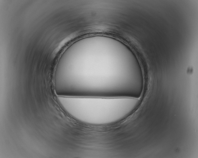 X0000111581210200907161147