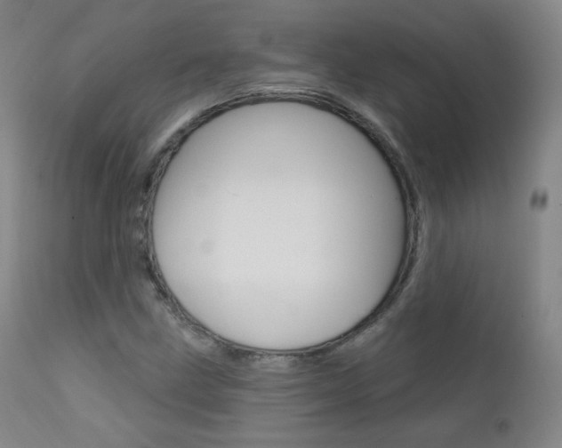 X0000111581211200907161147