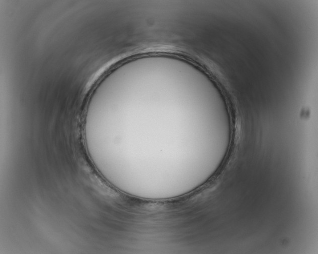 X0000111581212200907161147