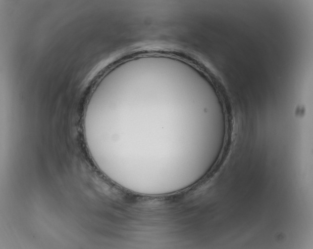 X0000111581213200907161147
