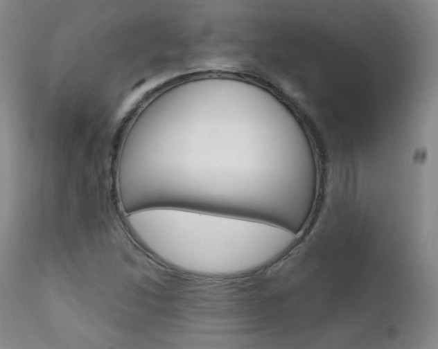 X0000111581214200907161147