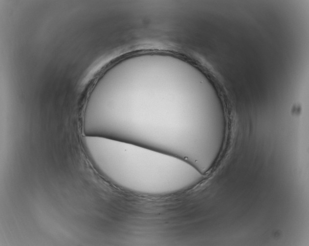 X0000111581215200907161147