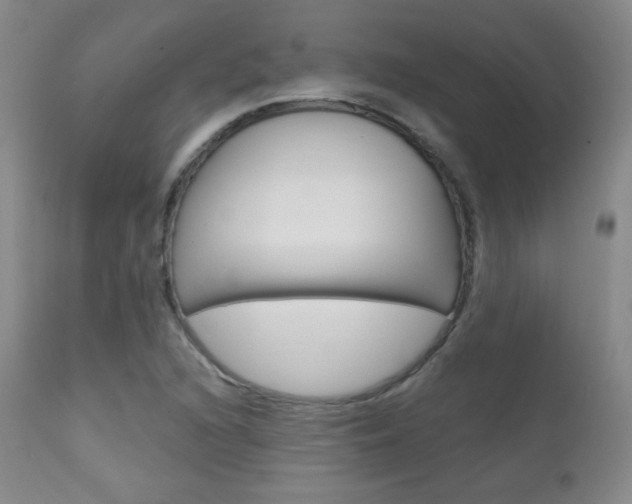 X0000111581216200907161147
