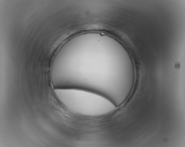 X0000111581217200907161147