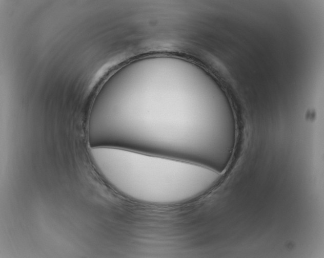 X0000111581218200907161147