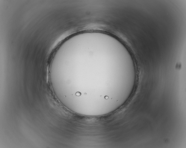 X0000111581219200907161147