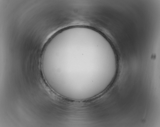 X0000111581220200907161147