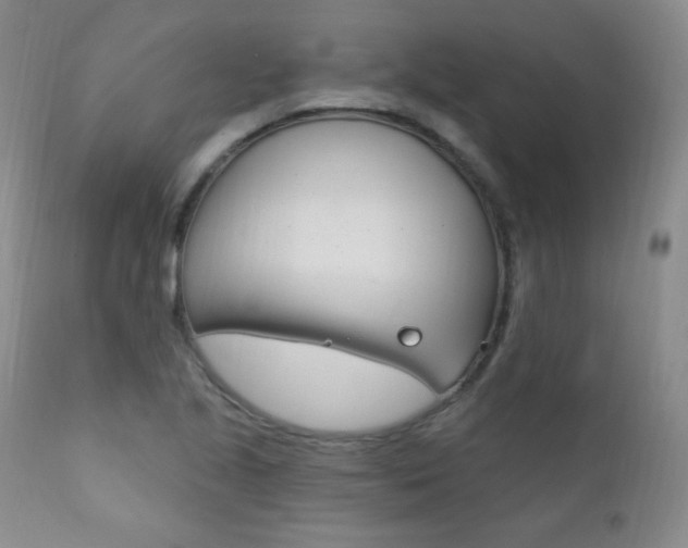 X0000111581221200907161147