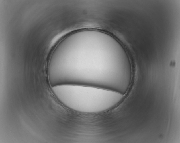 X0000111581222200907161147