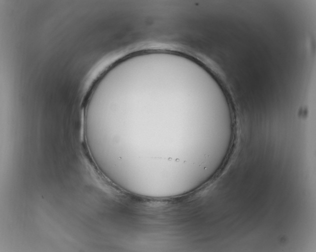 X0000111581223200907161147