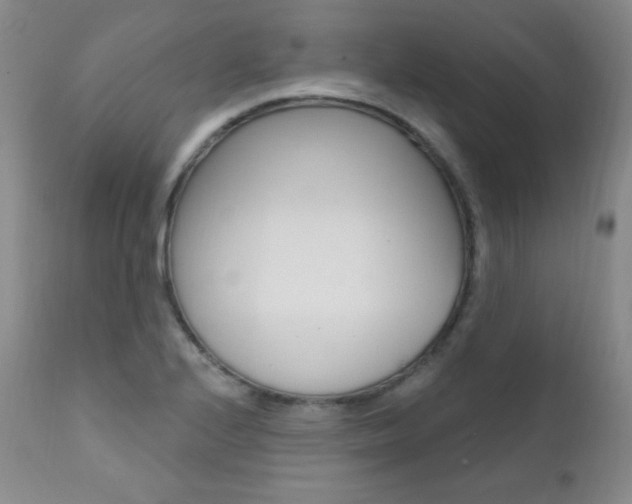 X0000111581224200907161147