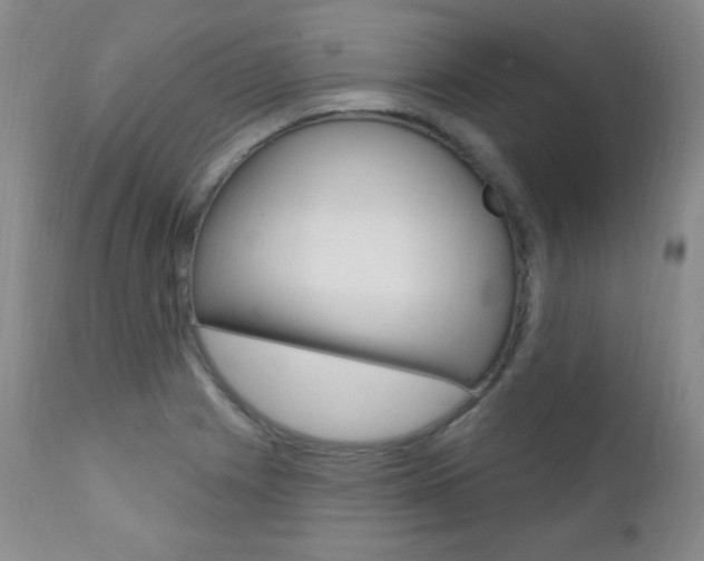 X0000111581225200907161147