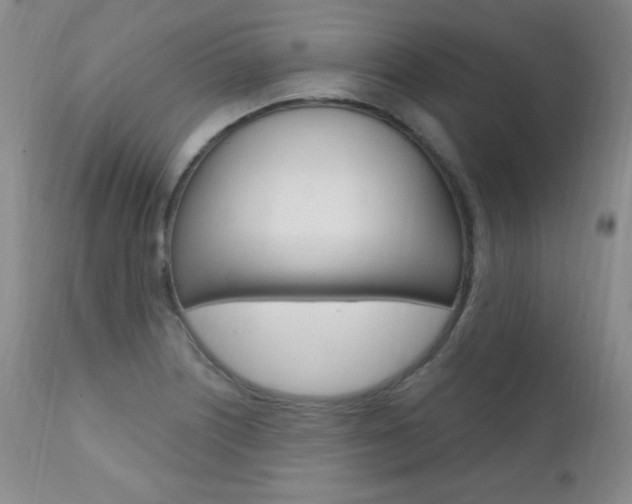 X0000111581226200907161147