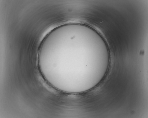 X0000111581227200907161147