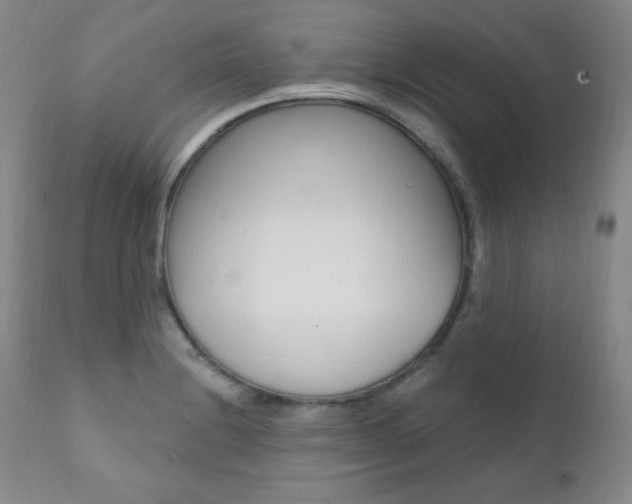 X0000111581228200907161147