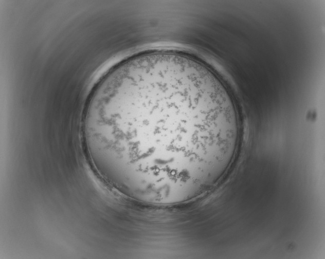 X0000111581229200907161147