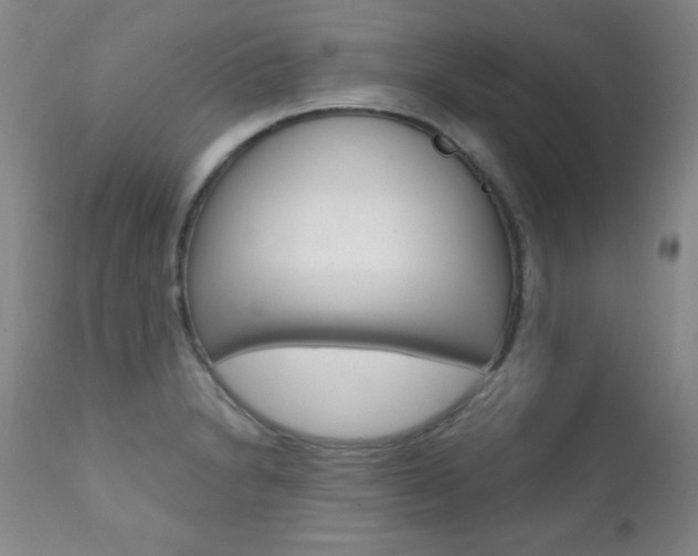 X0000111581230200907161147