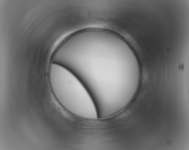 X0000111581232200907161147