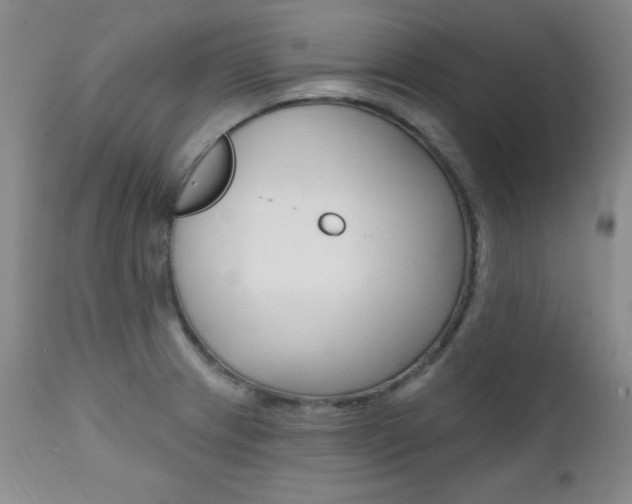 X0000111581233200907161147