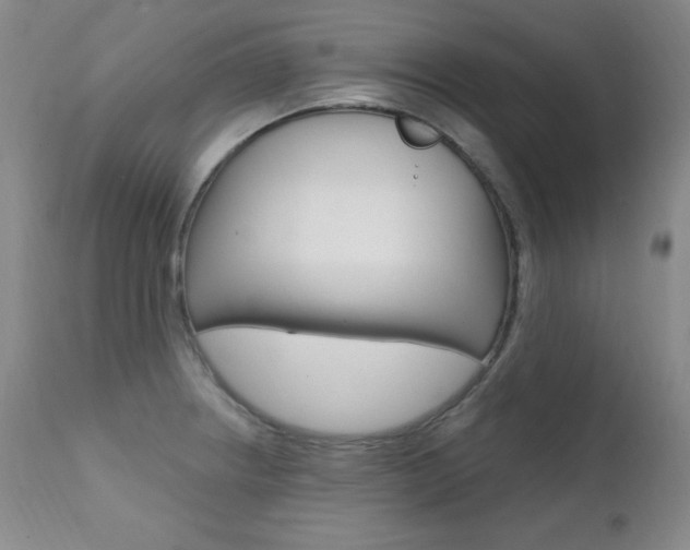 X0000111581234200907161147