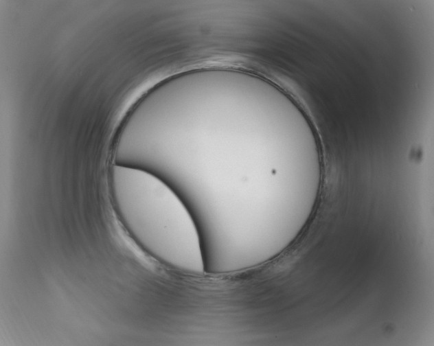 X0000111581235200907161147