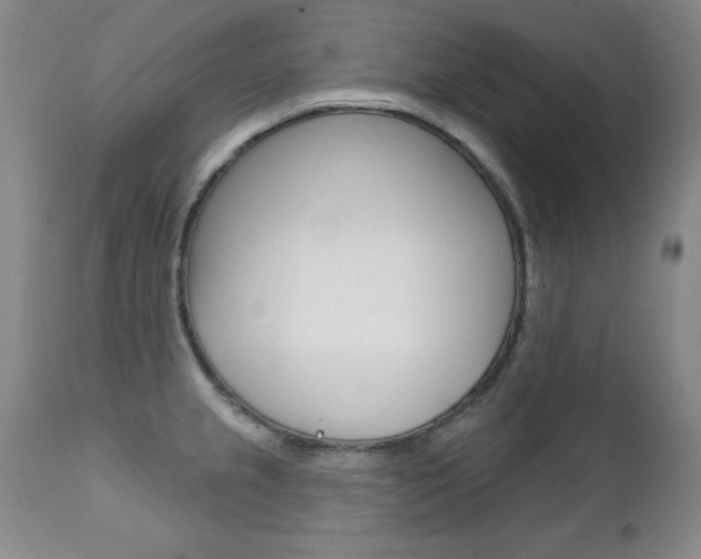 X0000111581237200907161148