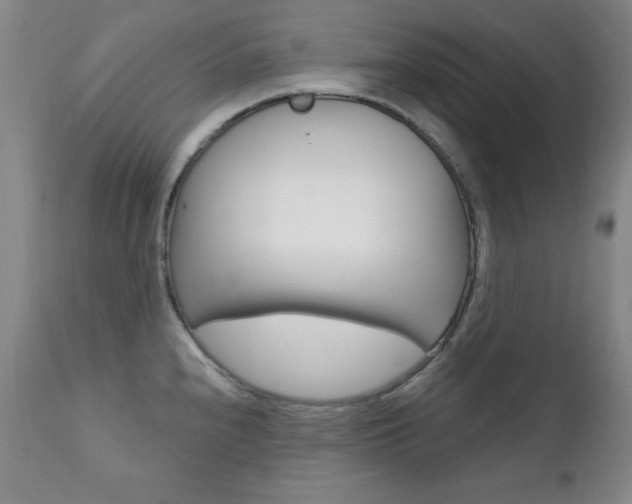 X0000111581240200907161148