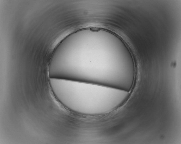 X0000111581241200907161148