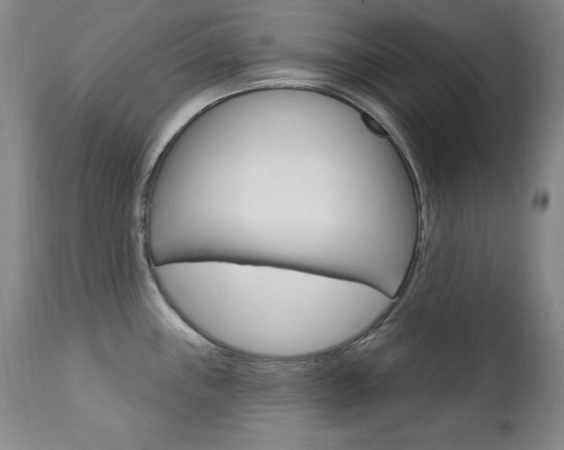 X0000111581243200907161148