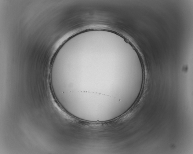 X0000111581245200907161148