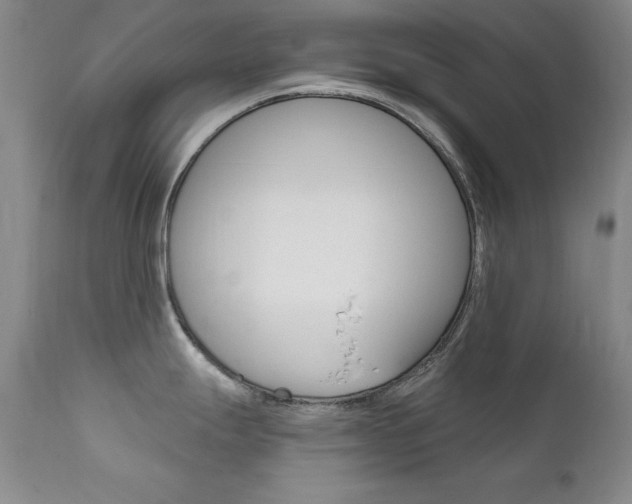 X0000111581247200907161148
