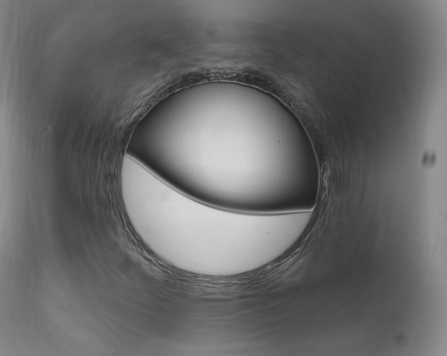 X0000111581252200907161147